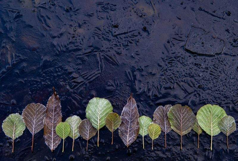 NaturWunder GmbH - Image 10